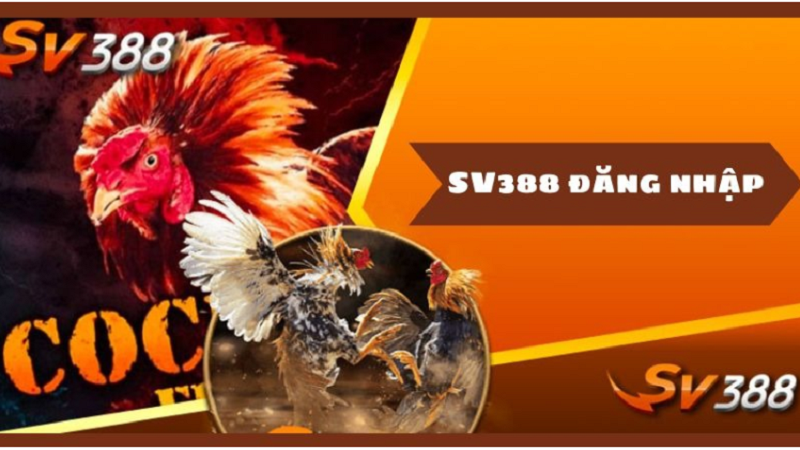 Link Vào SV388 Mới Nhất 2025: Cập Nhật & Hướng Dẫn Truy Cập An Toàn