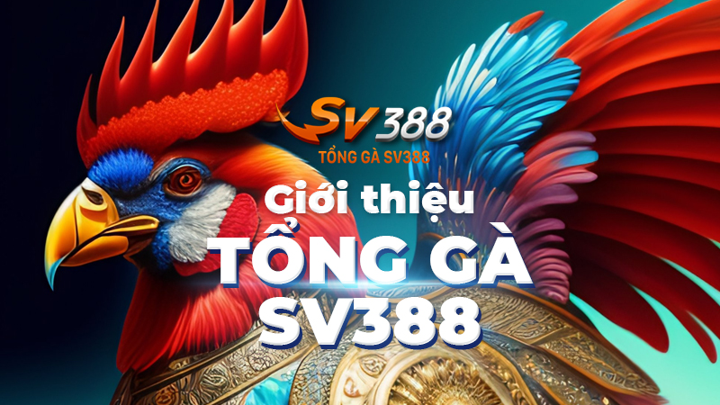 Các Trận Đá Gà SV388 Trực Tiếp: Lịch Thi Đấu, Kênh Xem & Mẹo Cược Hiệu Quả